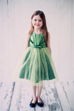 Sparkly Tulle girl dress