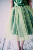 Sparkly Tulle girl dress